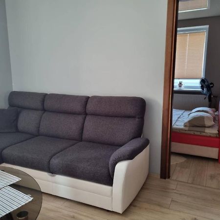 Pas Romana Zarasai Kültér fotó