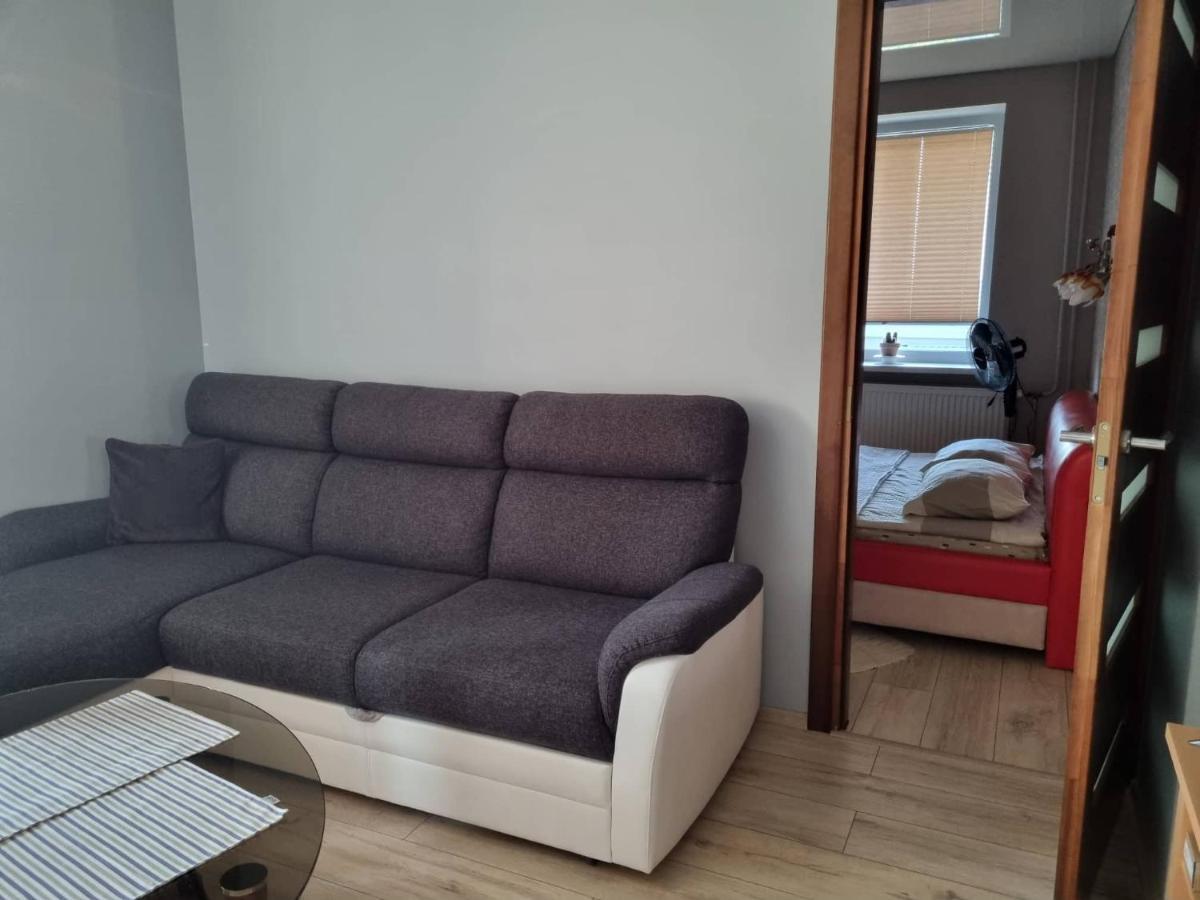 Pas Romana Zarasai Kültér fotó